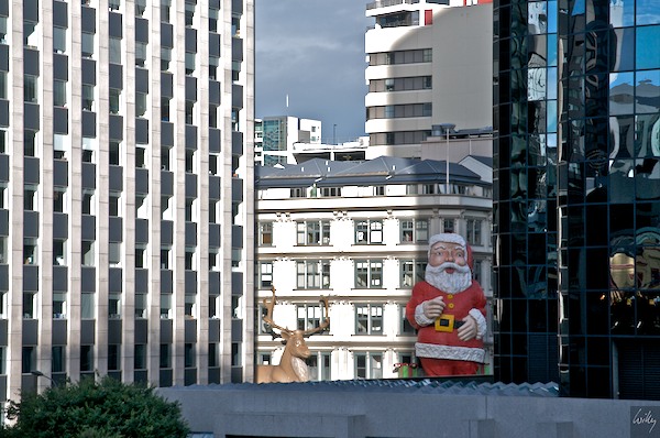 NewZealand 09 10  007